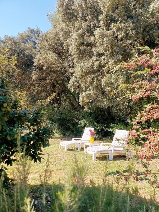Studio avec jardin entre Aix-en-Provence, Luberon et Verdon Peyrolles-en-Provence Buitenkant foto