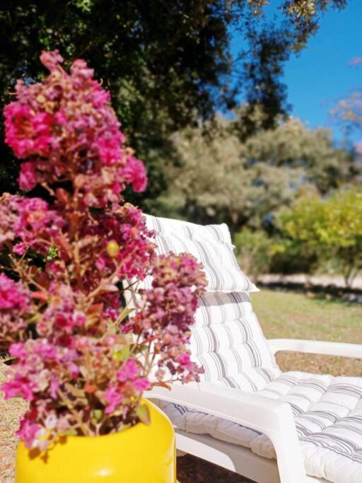 Studio avec jardin entre Aix-en-Provence, Luberon et Verdon Peyrolles-en-Provence Buitenkant foto